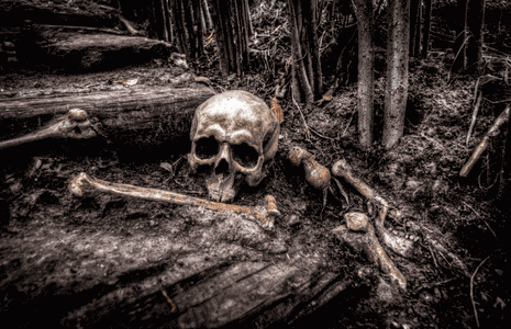 Bones at rest in a forest